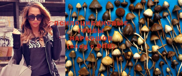 первитин Арсеньев