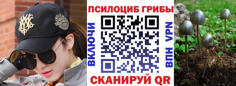 Псилоцибиновые грибы Magic Shrooms Приозерск